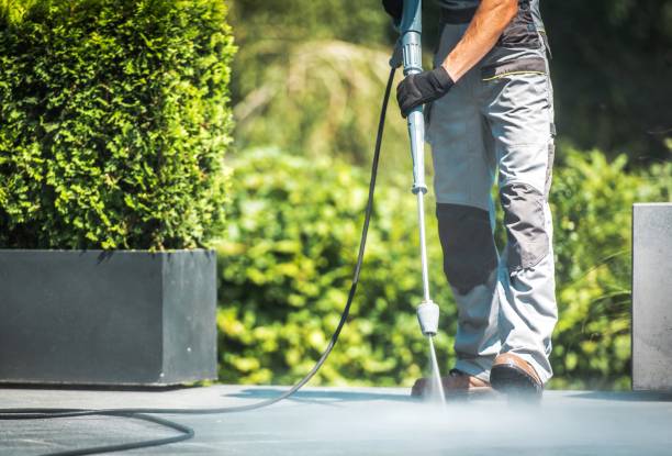 Best Driveway Pressure Washing  in Marlene Village, OR